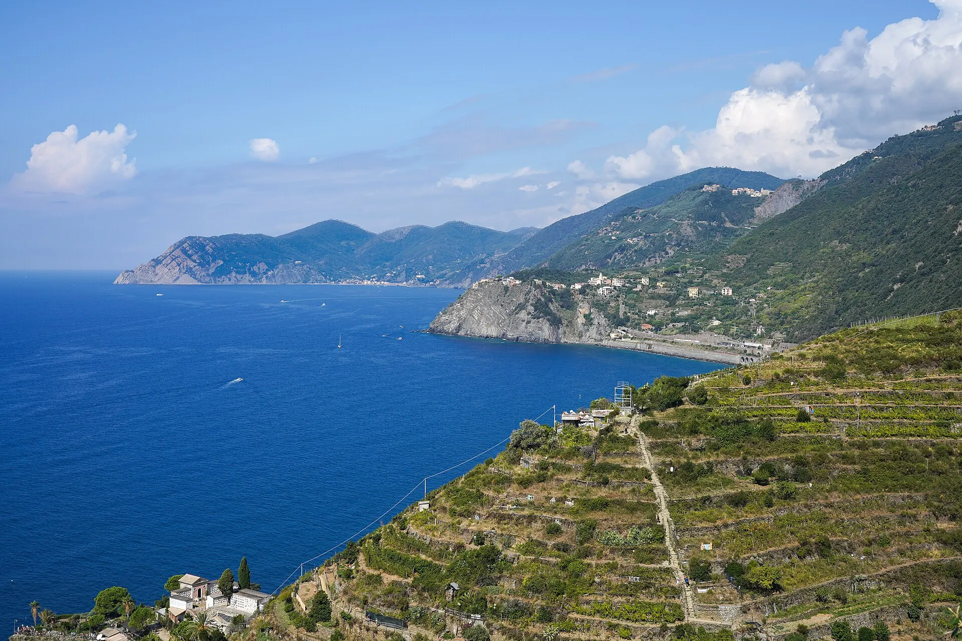 Terraced vineyards above the Cinque Terre coast — the landscape the Cinque Terre Card grants you train and trail access to.